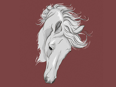 Horse horse illustration