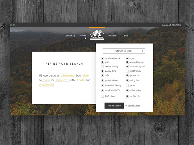 The Cabin Pros Search Form creative webdesign design divi minimal web design user experience website website design wordpress