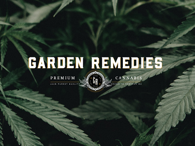 Garden Remedies brand branding cannabis cannabis branding cannabis packaging cbd design illustration logo mural packaging packaging design typography website