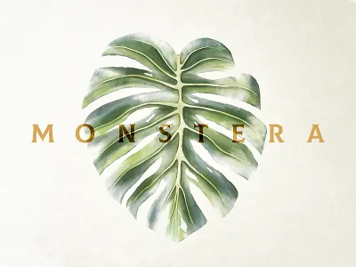 Monstera artwork botanic botanical drawing floral flower illustration ipadpro leaf monstera paint painting procreate sketch watercolor watercolour