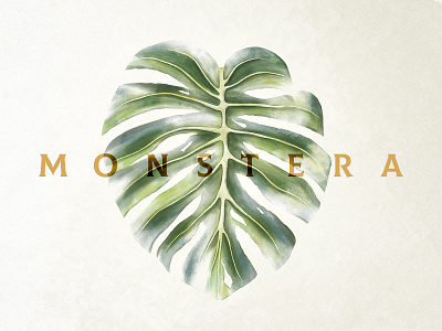 Monstera