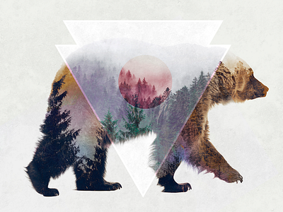 Double Exposure Bear bear double exposure photo manipulation photoshop wheres the pic ah nic basket