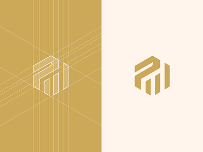 Physicum - logo design