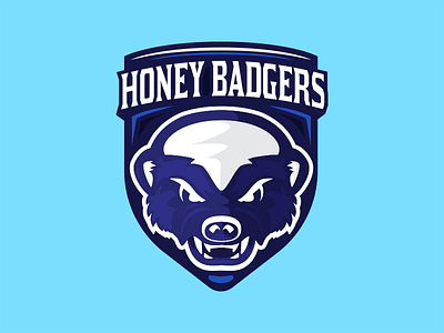 Honey Badgers Volleyball