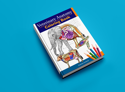 Cover Veterinary Anatomy adobephotoshop anatomy backcover concept cover cover design creative design illustration paint