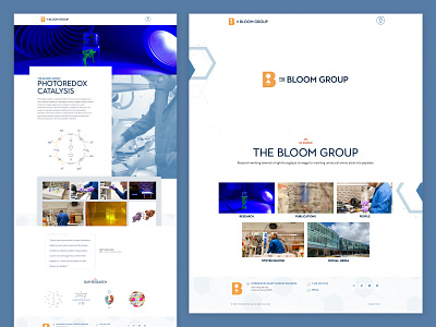 The Bloom Group Chemistry Website illustration logo ui ui ux ux web web site web site design website