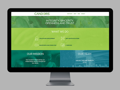 Candoris color custom wordpress design trilion studios ui ux web web design wordpress
