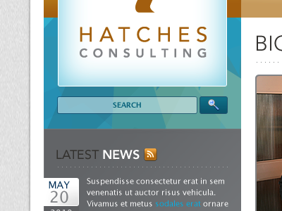 Hatches Consulting 960gs photoshop user experience user interface web design wordpress