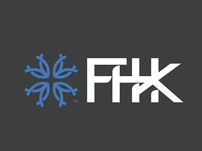 FHK brand logo logos mark shadow type vector