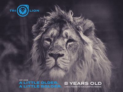 8 years old 8 birthday design lion studio trilion