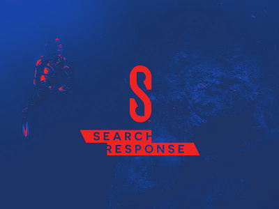 Search Response Branding brand branding color identity logo logos mark type vector