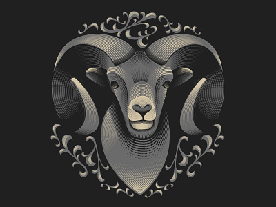 Big Horned Sheep Illustration