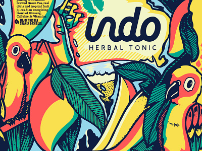 Indo Herbal Tonic - Mango 24oz can detail flavor herbal illustration mango packaging parrot tallboy tallcan tea