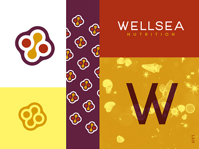 Wellsea algae branding health identity microscope nutrition pharmaceutical seaweed typography