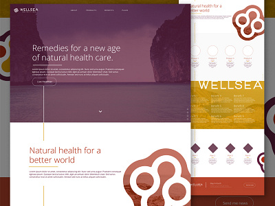 Wellsea Web algae branding health identity microscope nutrition pharmaceutical seaweed typography