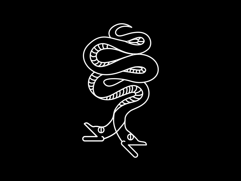 Two Face identity skateboarding streetwear snake new york city linework illustration brooklyn nevada reno