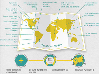 Conservation Project Report annual report graphic design infographics