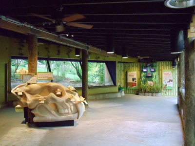 Complex Carnivores Exhibit design exhibit