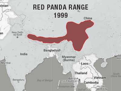 Red Panda Population Data Visualization data visualization