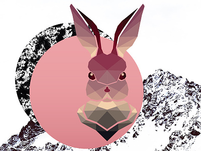 Bashful Bunny illustration