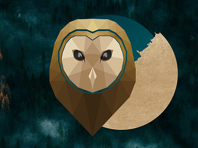 Owl Scholar illustration