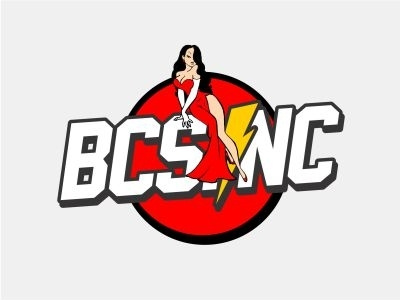 BCS Ink. branding lettering logo