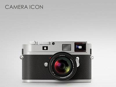 Camera Icon 2011