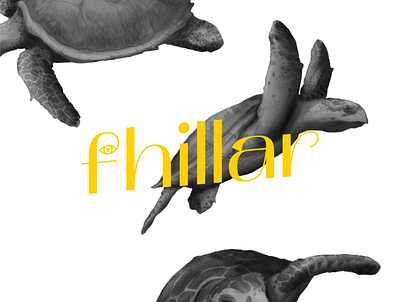 fhillar :: Turtles adobe photoshop art artwork blackandwhite conceptart design designer digitalart drawing drawing ink fhillar illustration like skecth sketchbook turtle wacom intous pro