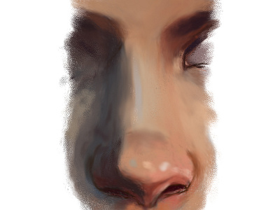 Nose