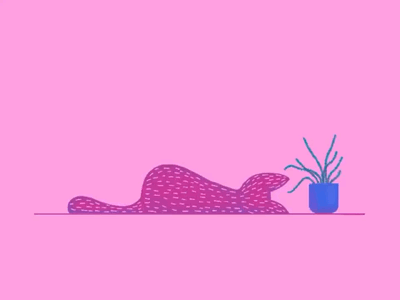 Sleepy Cat animation cat illustration illustration pink procreate