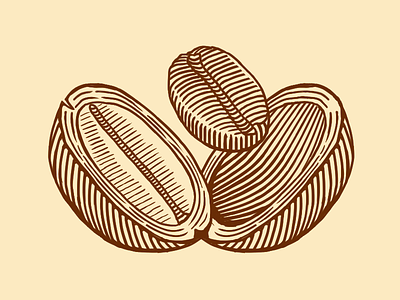 Cascara cascara coffee coffee bean engraving etching illustration starbucks woodcut