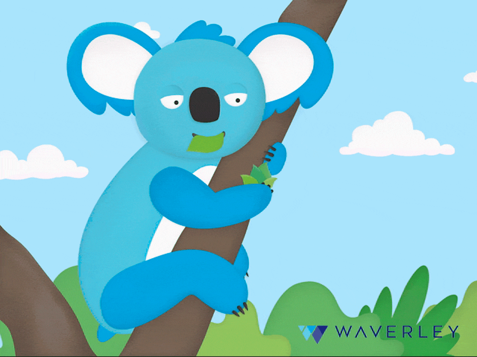 Salad Time! animation branding design gif gif design illustration koala koala bear ui waverley