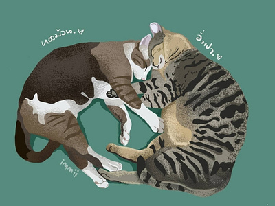 Cat & Cat cat illustration