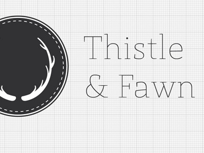 Thistle and Fawn branding fun identity illustrator logo wip