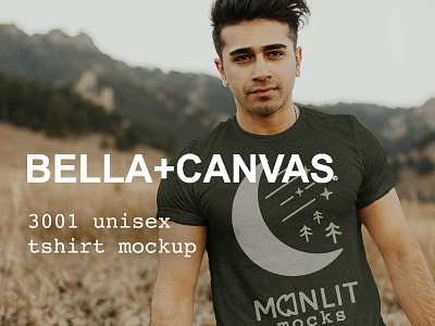 Bella Canvas Designs Themes Templates And Downloadable Graphic Elements On Dribbble