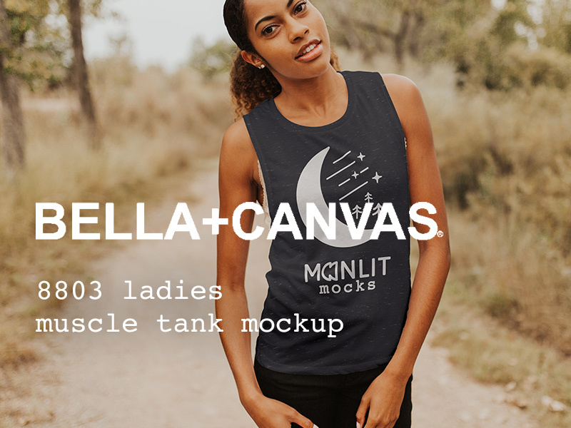 bella and canvas 8803