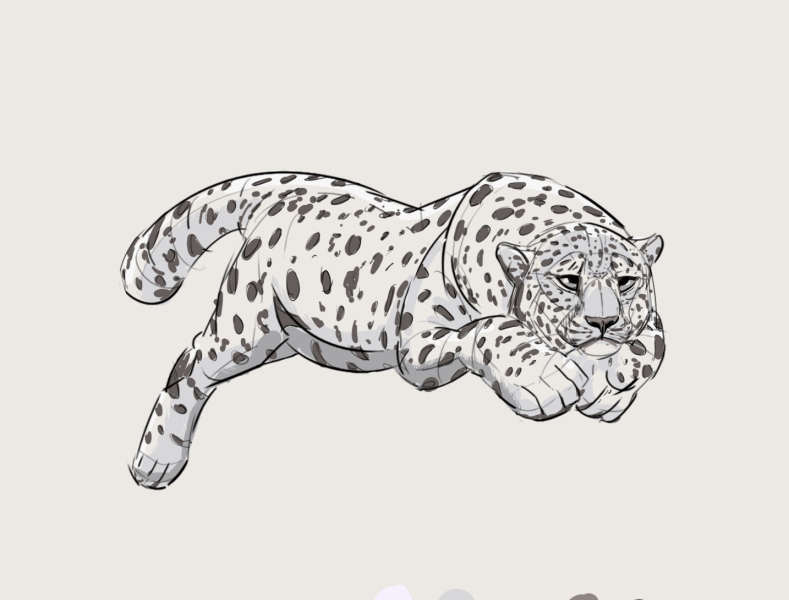 leopard running drawing