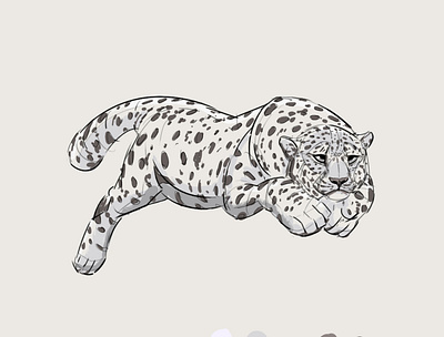 Snow leopard animal art cat digitalart drawing illustration illustrator photoshop sketch snow leopard