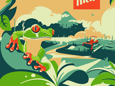 The red-eye tree frog in Costa Rica animal art costarica design frog graphicdesign illustration illustrator nature vector