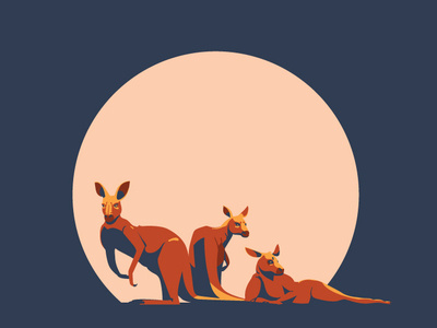 Kangaroo art vectorart vector animals animal art australian australia wildlife poster adobeillustrator digitalillustration artwork design drawing animal digitalart illustrator illustration sunset kangaroo