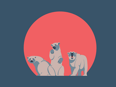 Polar bears (Sunset series)