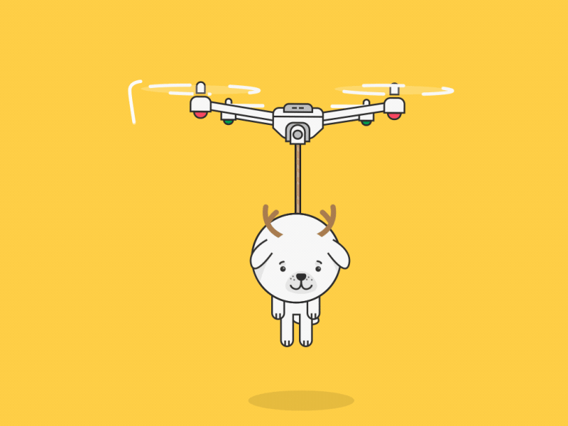 Dog delivery service of the future 2d 2d animation aircraft animal character delivery dog drone fast flight fly gif illustraion motion simple design tech uav vector