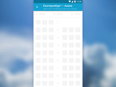 Pobeda Airlines mobile app concept airline android animation app avia blue mobile motion seats ui ux
