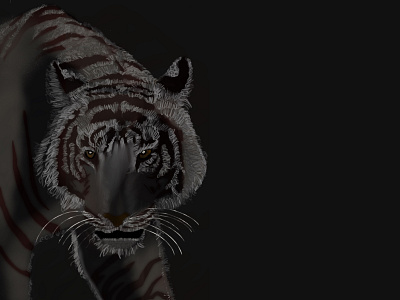 DIGITAL ART - TIGER animals bigcat design digitalart sketching tiger