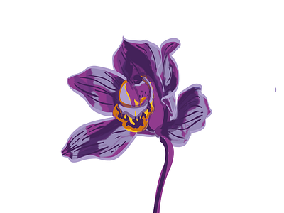 Kenyan Orchid closeup color field flower flower illustration illustrator kenya orchid plant