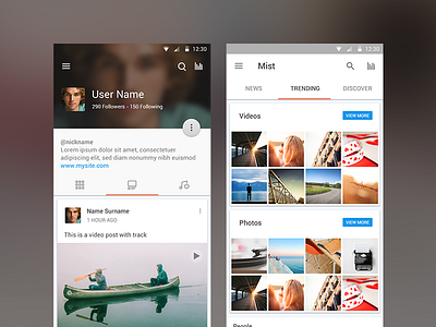 Socialmist Material Design android design feeds google lollypop material music network profile social ui ux