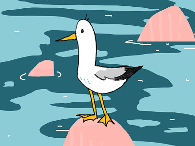 Seagull bird coast digitallycoloured handdrawn illustration illustrator sea seagull