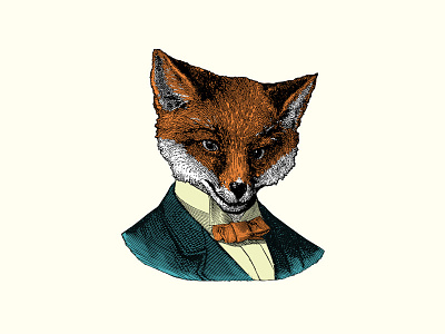 Mr. Fox collage design engraving fox illustration logo