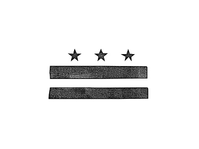 Washington DC Flag flag illustration stamp texture washington dc