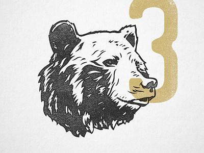 Bear3 animal bear design illustration